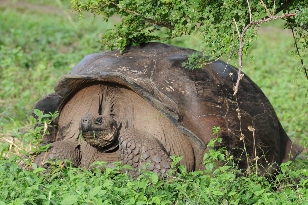 San Cristobal Islandimage - 0